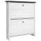 Тумба для обуви ВМК (БРВ) Парис SFB2B Джанни/Сосна ларико (BRW-131049)