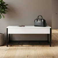 Банкетка с ящиком Ferrum-decor Дрейк 1 550x1000x400 металл Черный ДСП Белое 16 мм (FRD-103045)
