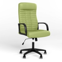 Крісло керівника поворотне Новий Стиль DIRECTOR TILT PL62 ECO-45 (фисташковой) (NWS-125909)