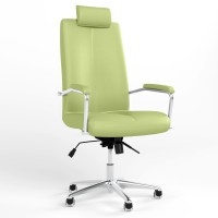 Крісло офісне поворотне Новий Стиль GRAND HR STEEL CHROME ANYFIX AL68 ECO-45 (Фісташковий) (NWS-126232)