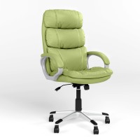Кресло руководителя поворотное Новый Стиль DOLCE ANYFIX PL35 ECO-45 (фисташковый) (NWS-125773)