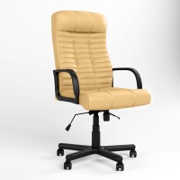 Кресло руководителя Новый Стиль ATLANT BX (ANYFIX) PM64 ECO-01 (Бежевый) (NWS-125056)