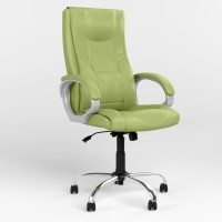 Кресло офисное поворотное Новый Стиль ELLY ANYFIX CHR68 ECO-45 (фисташковой) (NWS-126687)