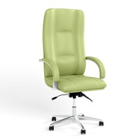 Крісло офісне поворотне Новий Стиль STAR STEEL CHROME ANYFIX AL68 ECO-45 (Фісташковий) (NWS-126787)