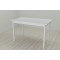 Стол кухонный Ferrum-decor Марио 75x120x60 Белый ДСП Белое 16мм (FRD-106197)