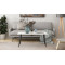Стіл журнальний Монтана Ferrum-decor 45x100x50 Чорний метал ДСП Білий 16 мм (FRD-106717)