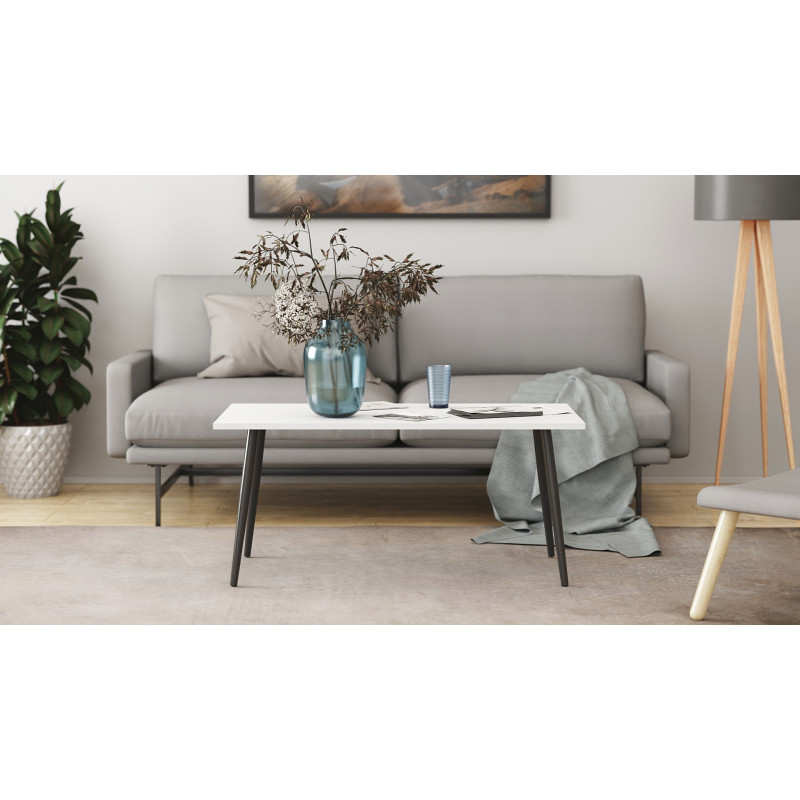 Стіл журнальний Монтана Ferrum-decor 45x100x50 Чорний метал ДСП Білий 16 мм (FRD-106717)