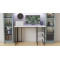 Письменный стол Ferrum-decor Кевин 75x120x60 черный ДСП Белое 16мм (FRD-103799)