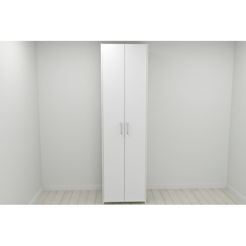 Шкаф Гардероб Уни секция 6 серии Конект Ferrum-decor 220x60x50см Белый металл ДСП Белый 16 мм (FRD-104579)