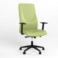 Кресло офисное поворотное Новый Стиль SOLO UP R STEEL WA ST PL70 ECO-45 (фисташковой) (NWS-126978)