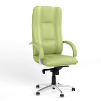 Кресло офисное поворотное Новый Стиль STAR STEEL CHROME ECO-45 (фисташковый) (NWS-126788)