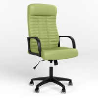 Крісло керівника поворотне Новий Стиль DIRECTOR ANYFIX PL62 ECO-45 (Фісташковий) (NWS-125910)