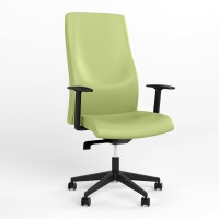 Крісло офісне поворотне Новий Стиль SOLO R BLACK (ABS) SFB PL70 ECO-45 (Фісташковий) (NWS-132229)