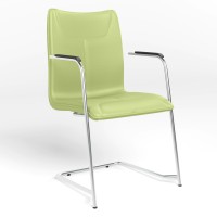 Стілець офісний Новий Стиль DESILVA ARM CHROME (BOX-2) ECO-45 (Фісташковий) (NWS-127400)