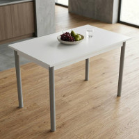 Стіл кухонний Ferrum-decor Беніта 75x120x60 Сірий ДСП Біле 16мм (FRD-106269)