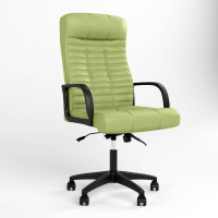 Кресло руководителя Новый Стиль ATLANT BX ANYFIX PL64 ECO-45 (фисташковый) (NWS-125089)