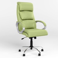 Кресло руководителя поворотное Новый Стиль DELTA ANYFIX CHR68 ECO-45 (фисташковый) (NWS-125850)