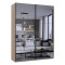 Шкаф купе Doros G-Caiser Дуб Эвок 2 Зеркала / 3 части 180х60х240 (DRS-011615)