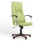 Крісло офісне поворотне Новий Стиль KING WOOD TILT EX4 ECO-45 (Фісташковий) (NWS-126465)