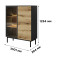 Вітрина низька у вітальню Perfect Home Lang 3D1W/100 125,4х100,1х39,4 Чорний/Дуб евок (PFH-091141)