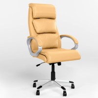 Кресло руководителя поворотное Новый Стиль DELTA ANYFIX PL35 ECO-01 (Бежевый) (NWS-125824)