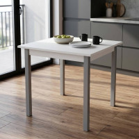 Стіл кухонний Ferrum-decor Дієго 75x90x90 Сірий ДСП Біле 16мм (FRD-106314)