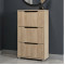 Тумба для взуття з ящиками LION ТО-2 70,4x28,2x123,4 см Дуб Сонома (LION-045344)