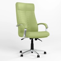 Кресло офисное поворотное Новый Стиль ORION STEEL CHROME (ANYFIX) ECO-45 (фисташковый) (NWS-126595)