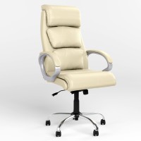 Крісло керівника поворотне Новий Стиль DELTA ANYFIX CHR68 ECO-07 (Світло-бежевий) (NWS-125826)